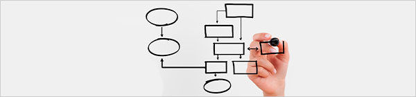 пример фотографии в статье